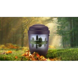 Biodegradable Cremation Ashes Funeral Urn / Casket - REFLECTIONS